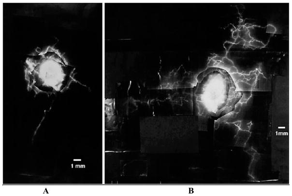 FIGURE 10