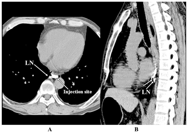 FIGURE 3