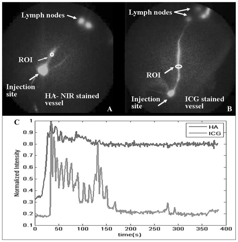 FIGURE 17