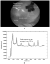 FIGURE 14