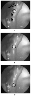 FIGURE 15