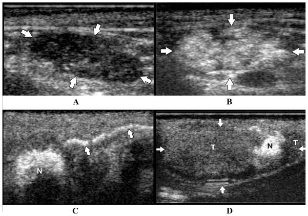 FIGURE 9