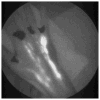 FIGURE 16