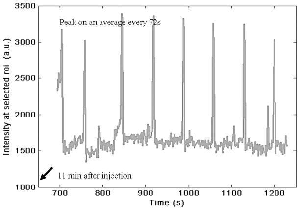 FIGURE 13