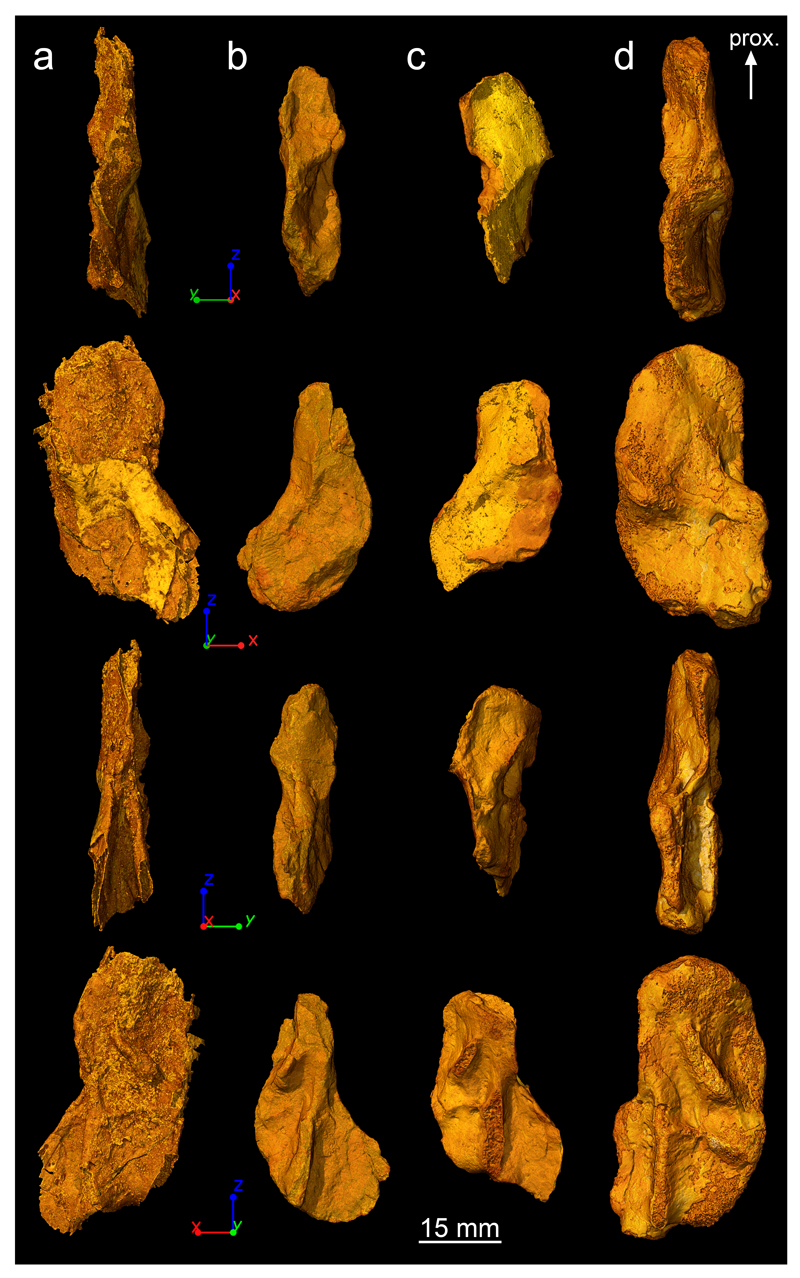 Extended Data Figure 1