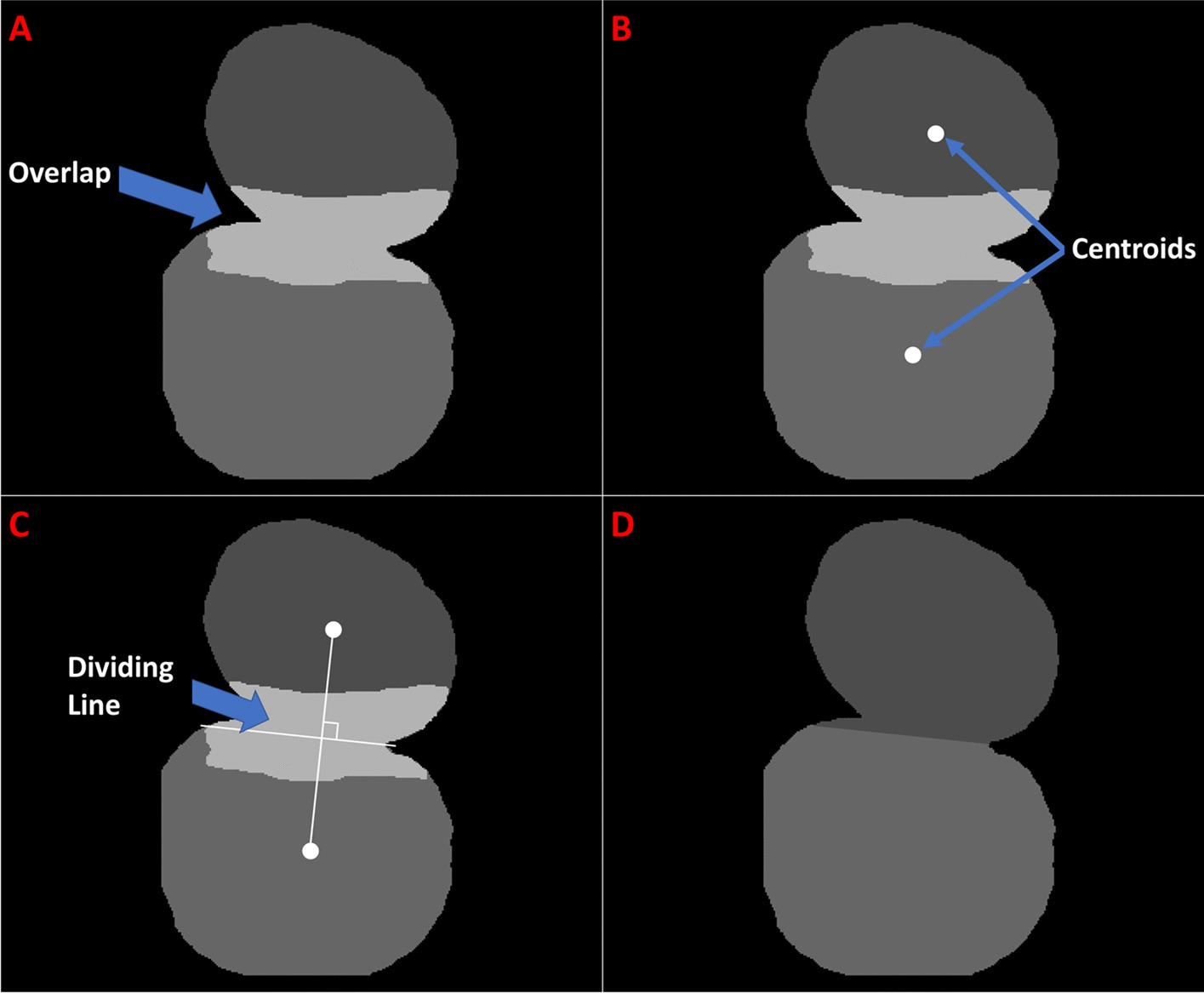 Fig. 10