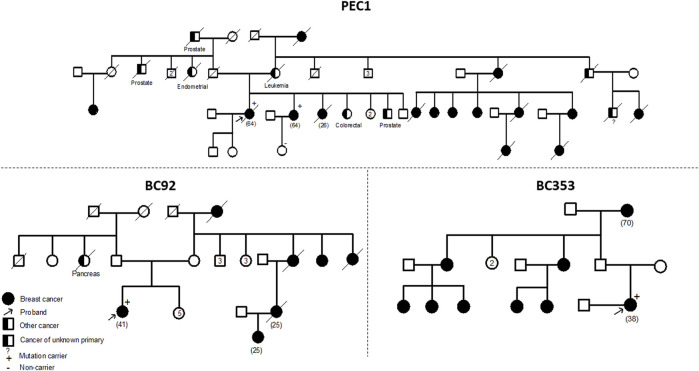 FIGURE 2