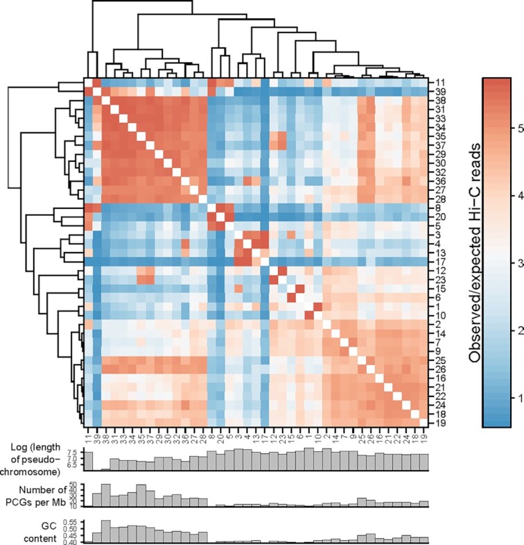 Figure 3: