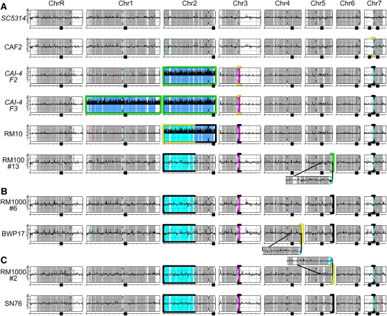 Figure 4 