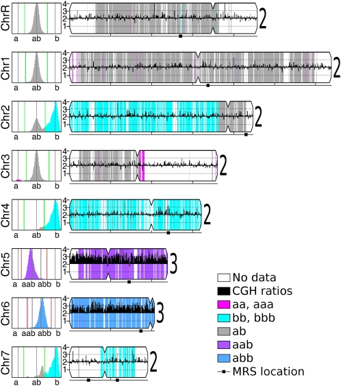 Figure 3 