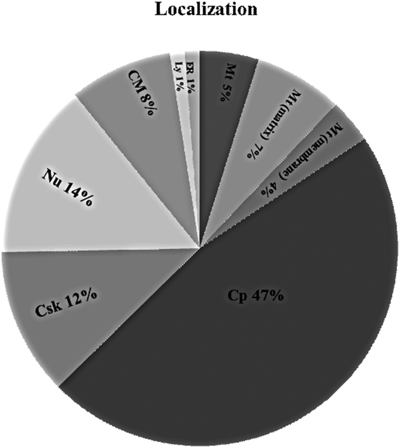 Fig. 6