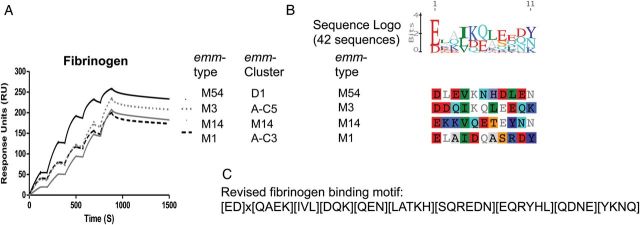 Figure 4.