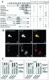 Figure 10.