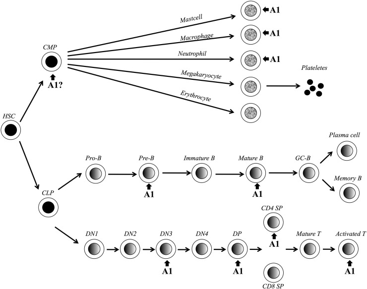 Fig. 4