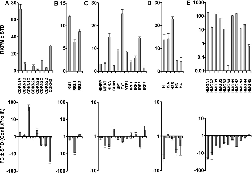 FIGURE 3