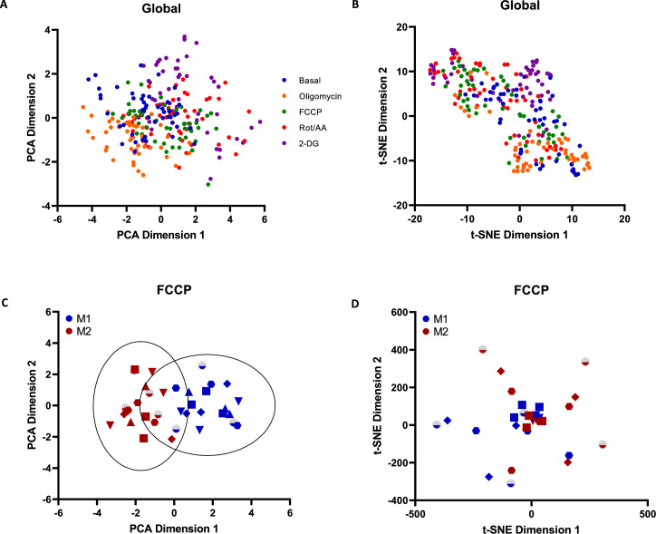 Figure 3—figure supplement 4.