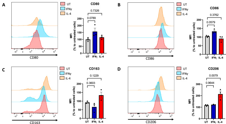 Figure 2—figure supplement 1.