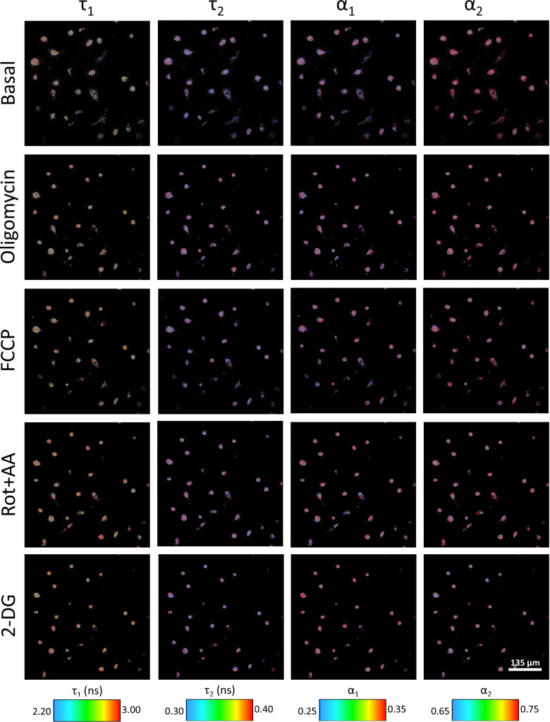 Figure 3—figure supplement 2.