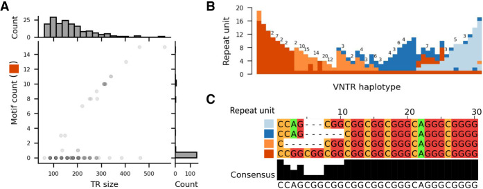 Figure 6.