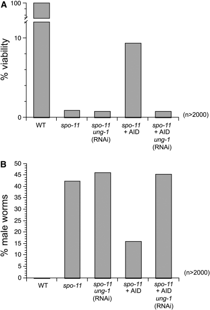 Figure 6.—