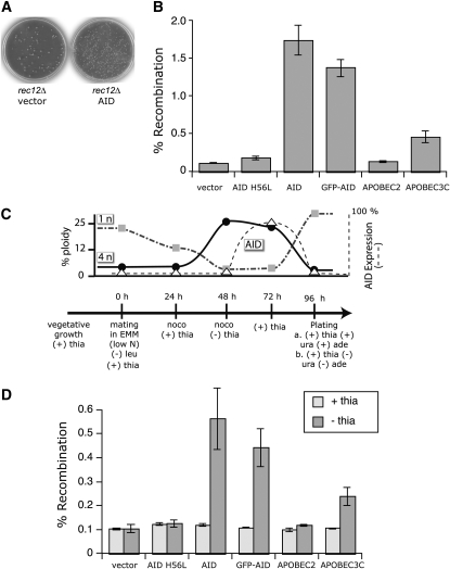 Figure 3.—