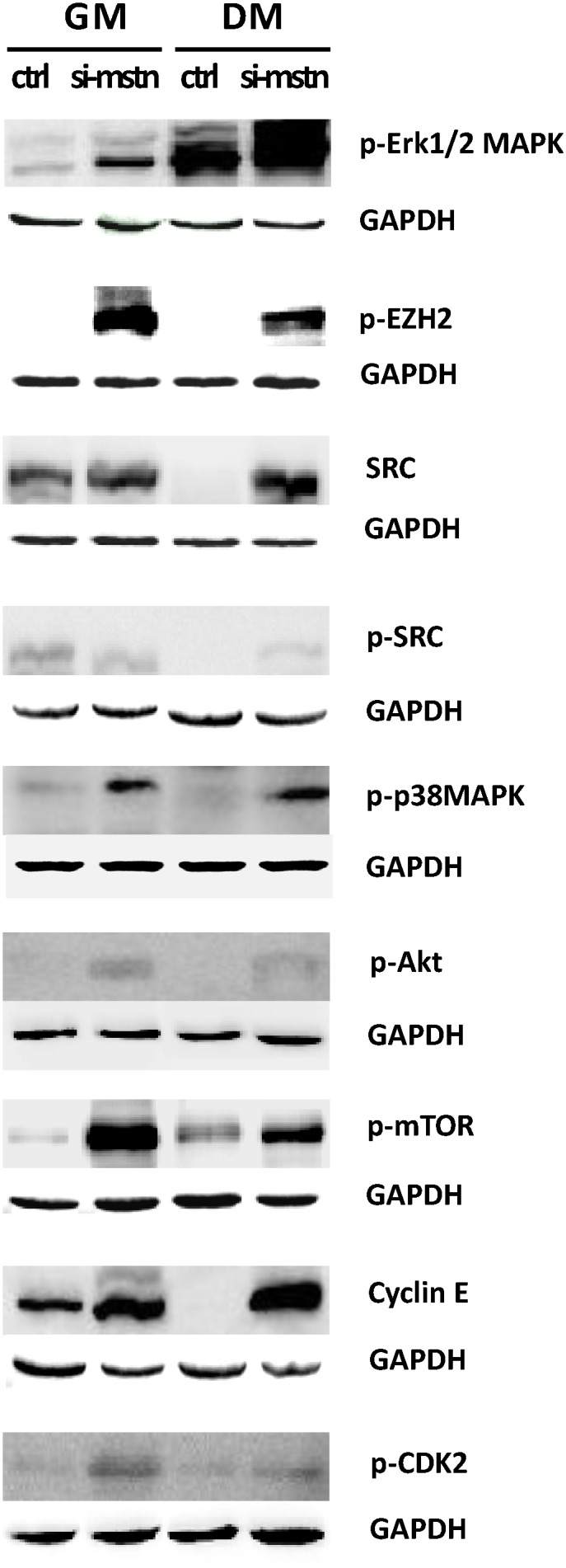 Fig 5