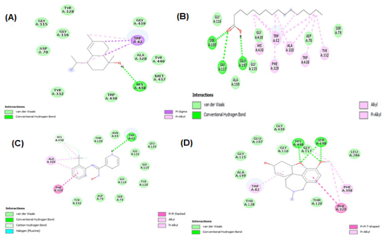 Figure 10