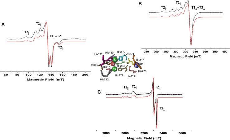 Fig. 1