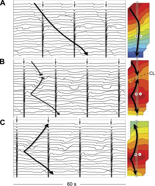 Fig. 4.