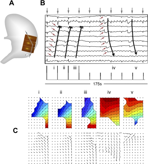 Fig. 7.