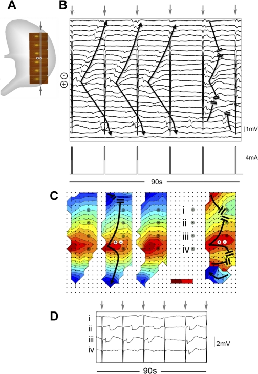 Fig. 6.