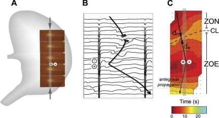 Fig. 2.