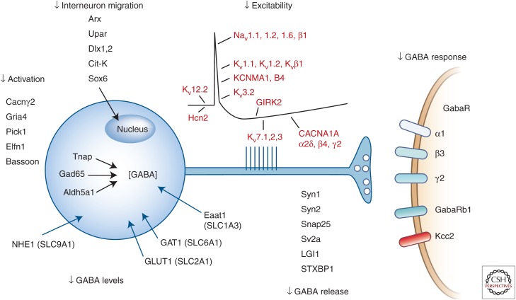 Figure 2.