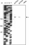 FIG. 3.
