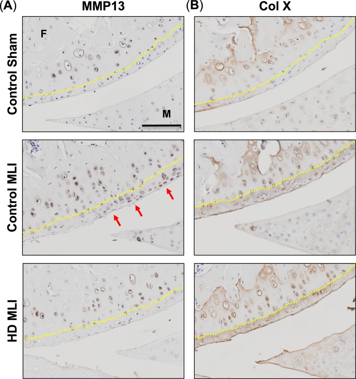 Fig 5