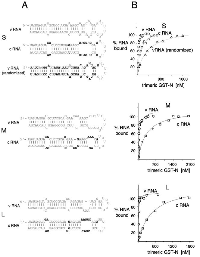 FIG.1.