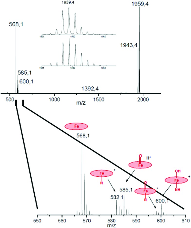 Fig. 4