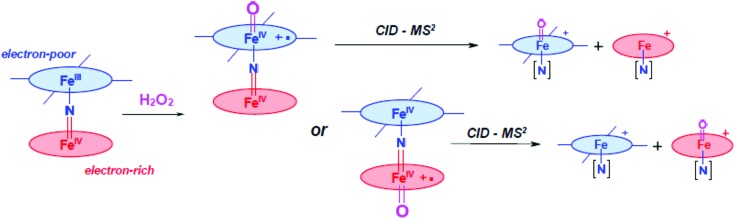 Scheme 3