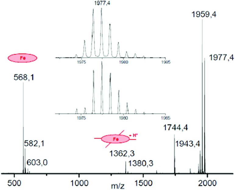 Fig. 3