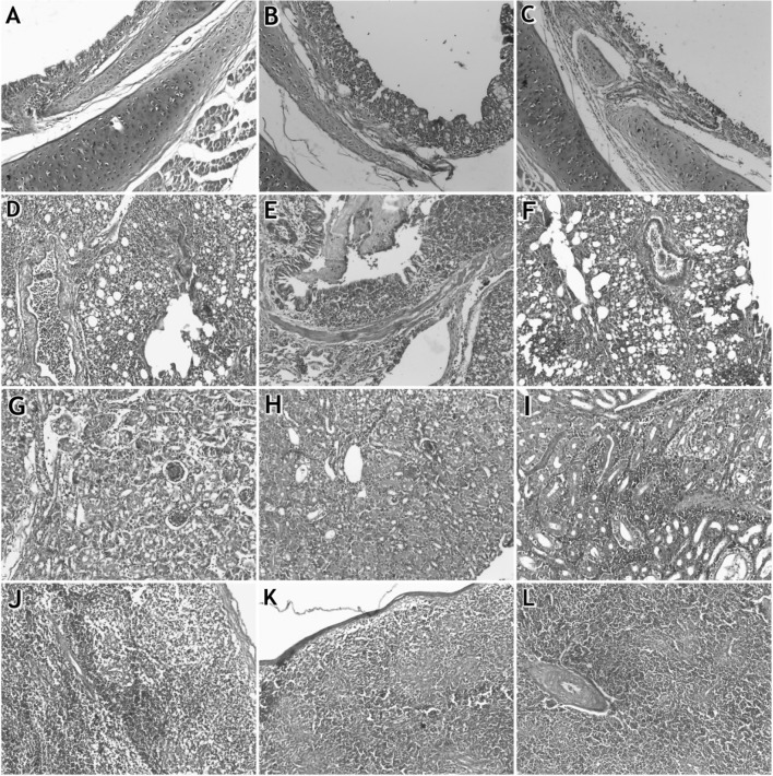 Fig. 1