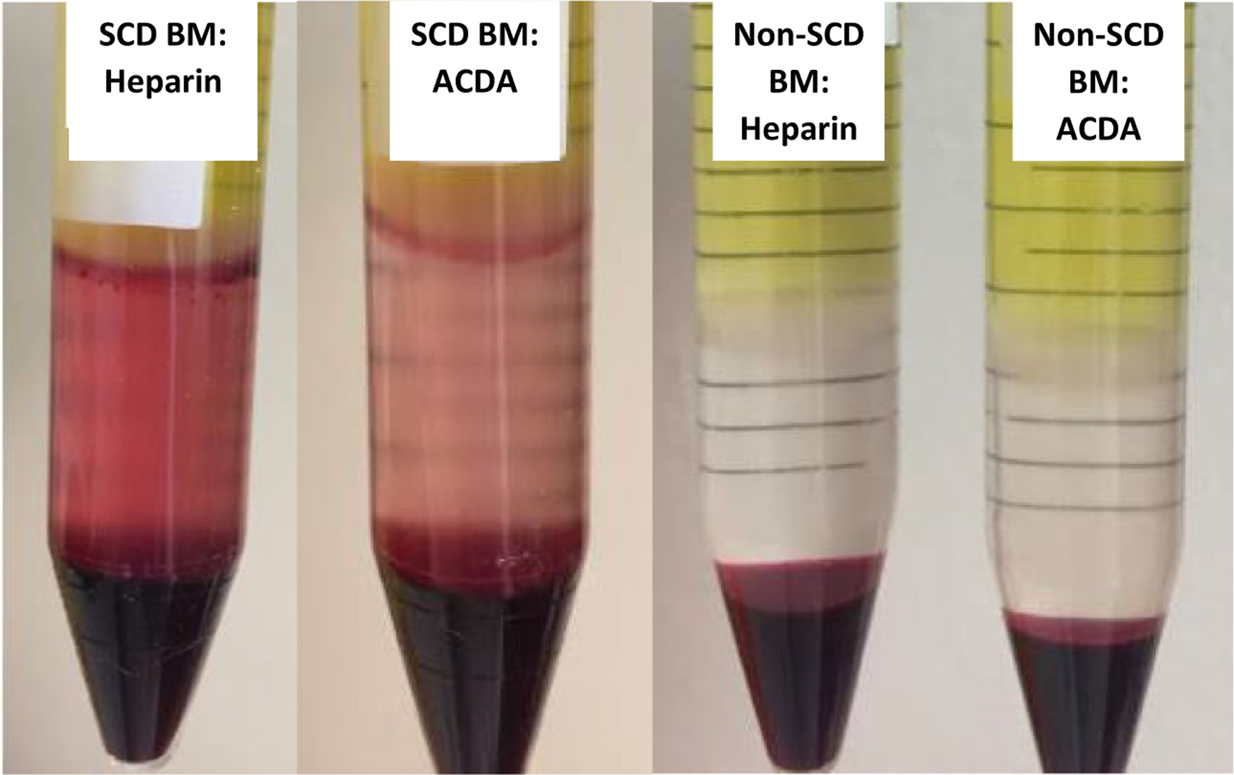 Fig 7.