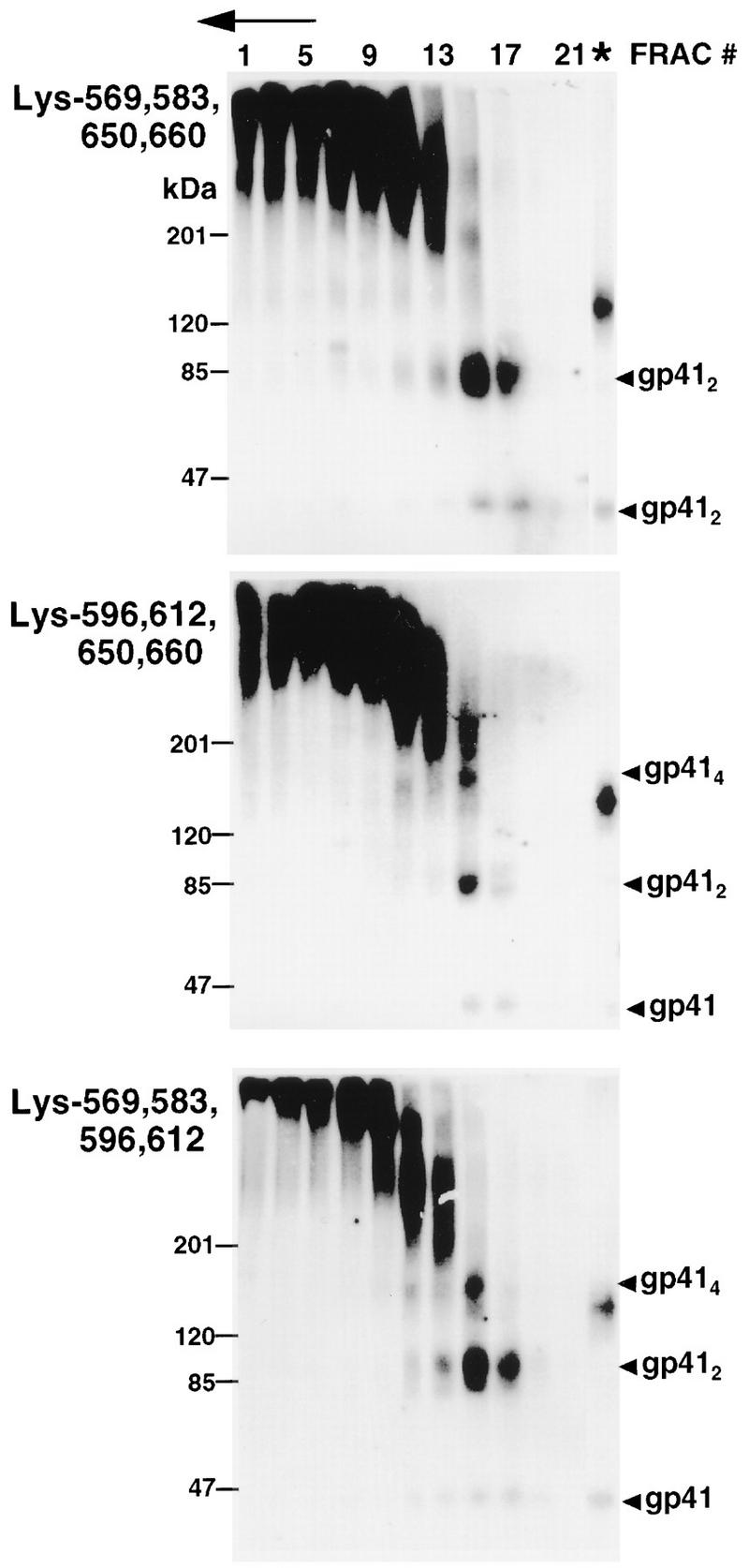 FIG. 6