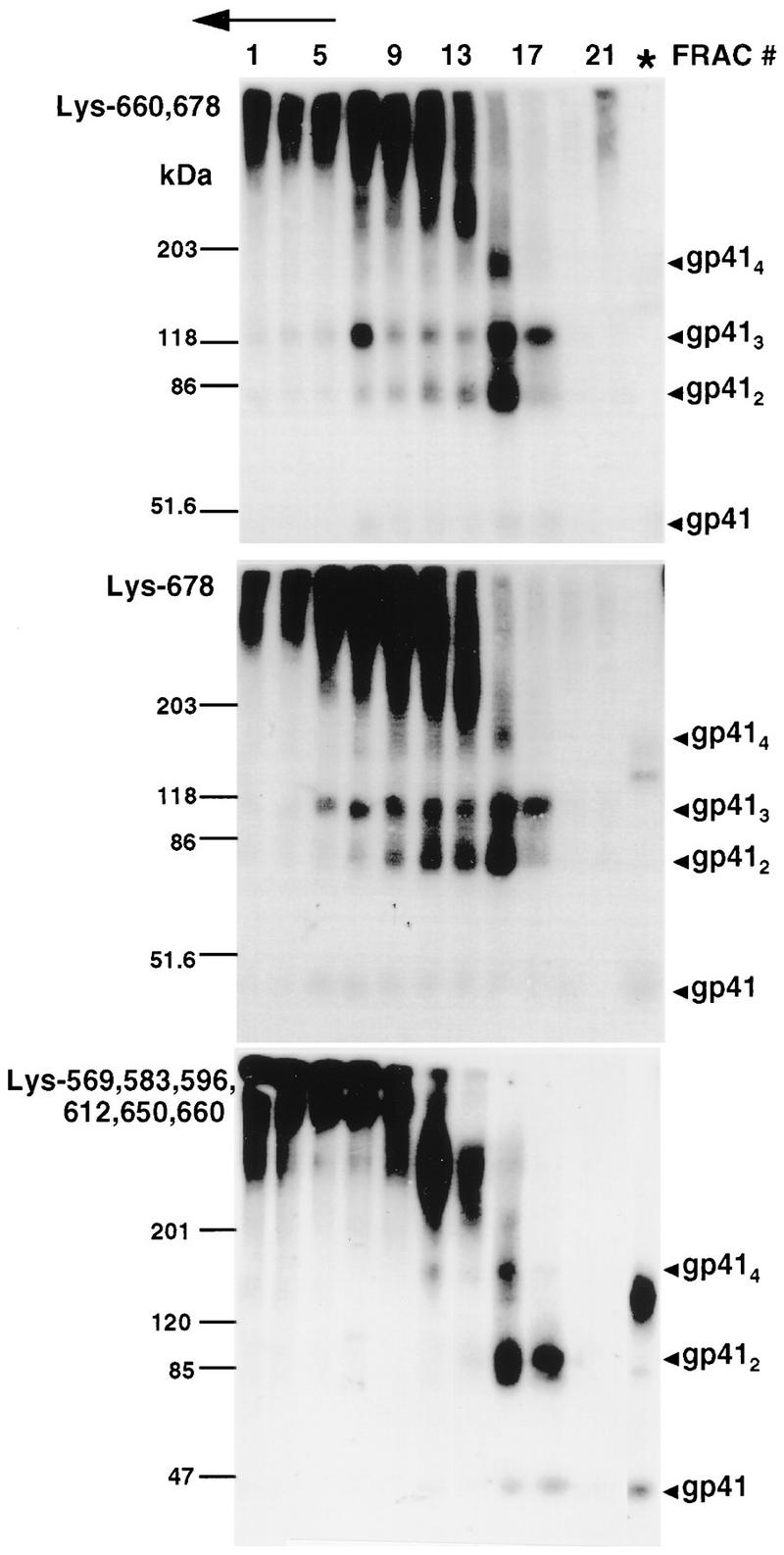 FIG. 5