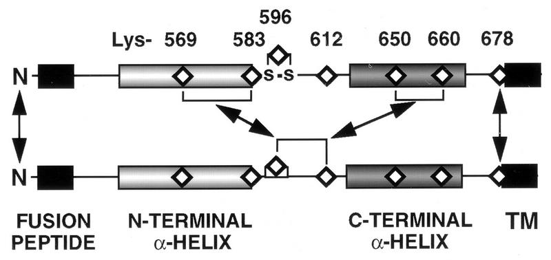 FIG. 7