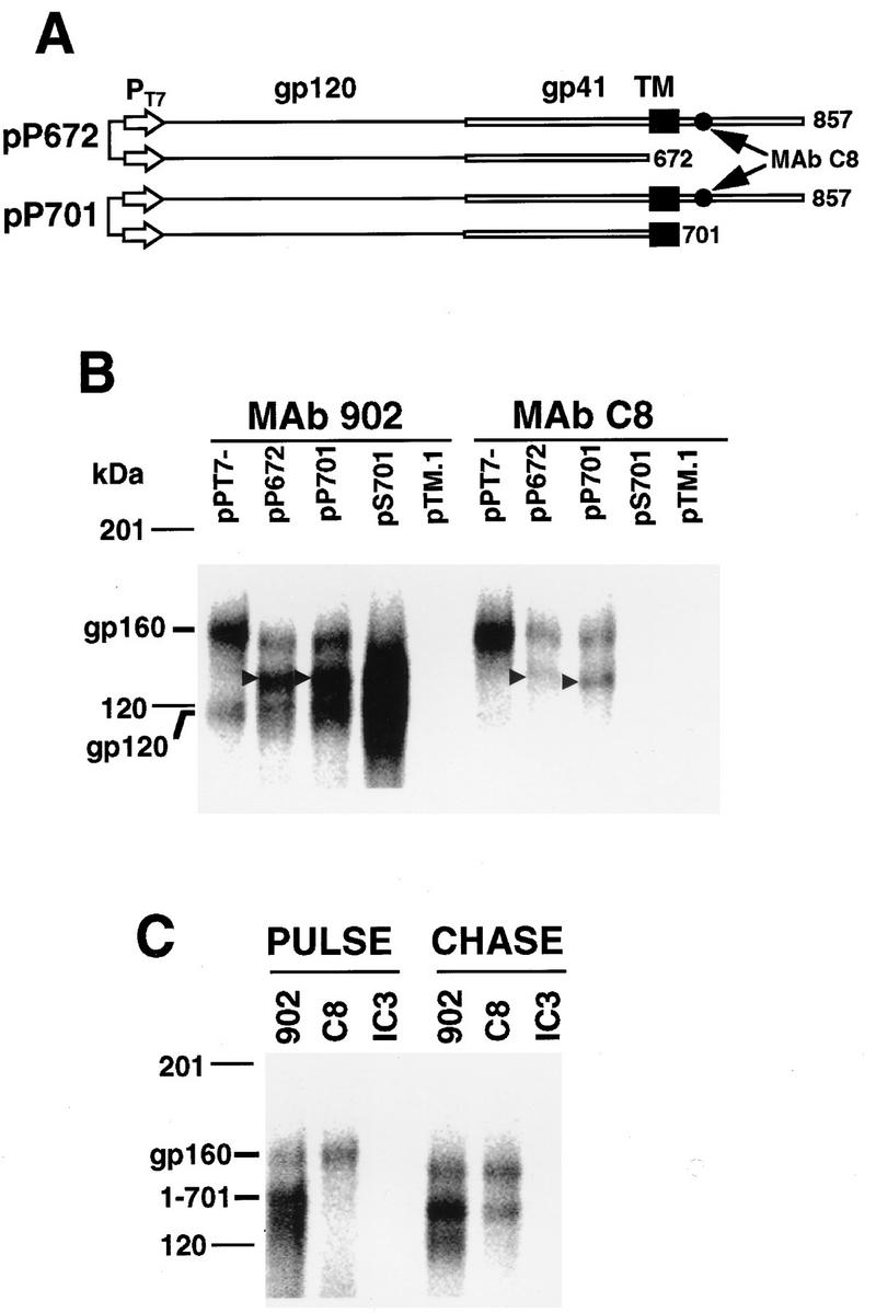 FIG. 8