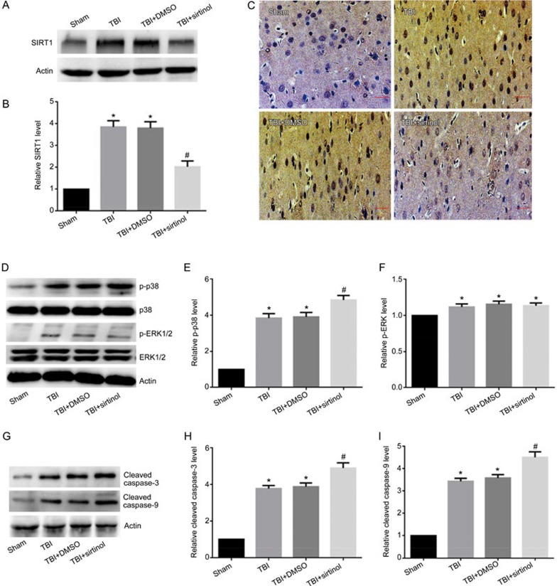 Figure 4A-AI