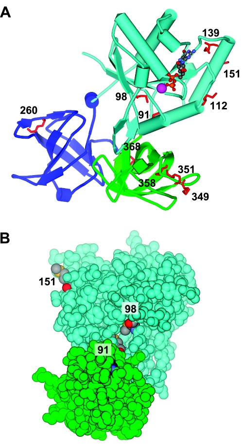 Figure 7.