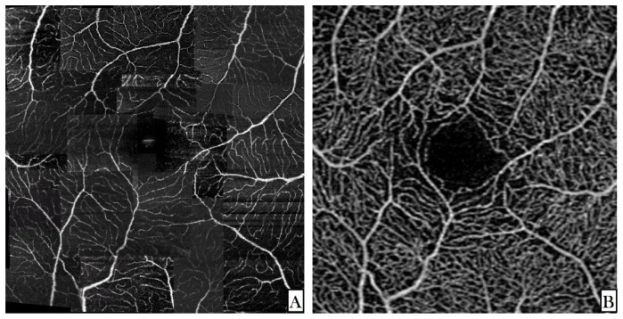 Fig. 6