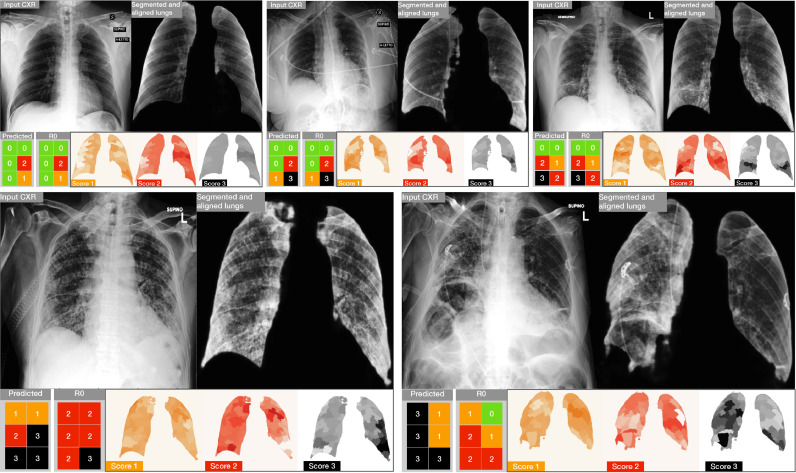 Fig. 10