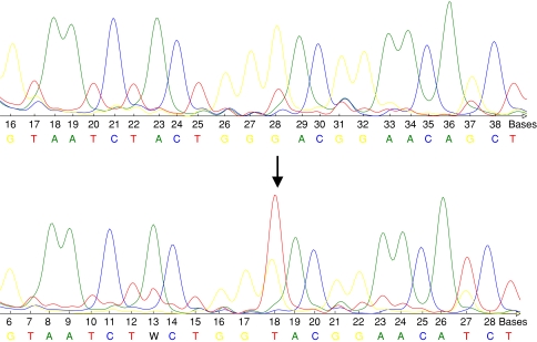 Fig. 1